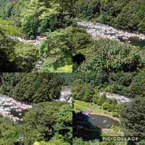 Collage 2019-08-13 10_22_54.jpg