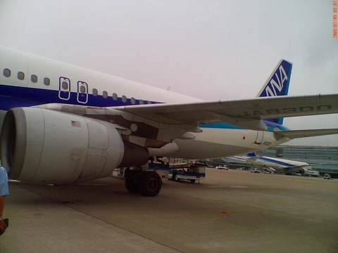 D1000315.jpg