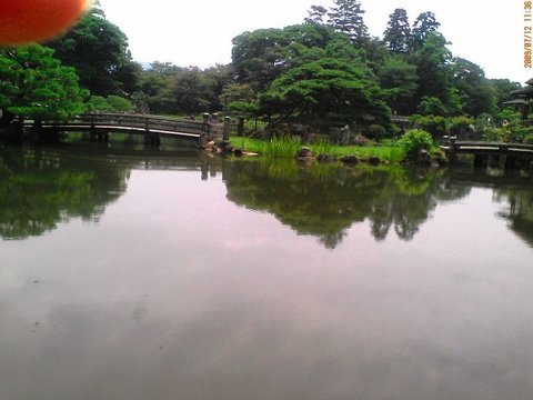 D1008120.jpg