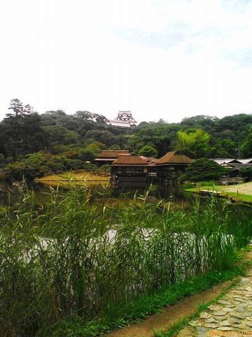 D1008121.jpg