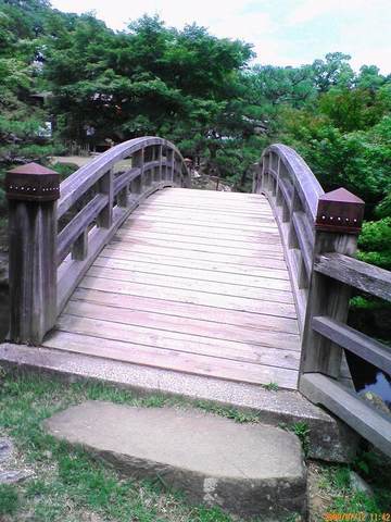 D1008123.jpg