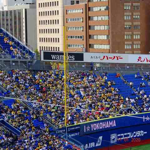 DSC00899.jpg