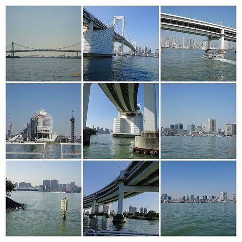 DSC03482-COLLAGE.jpg