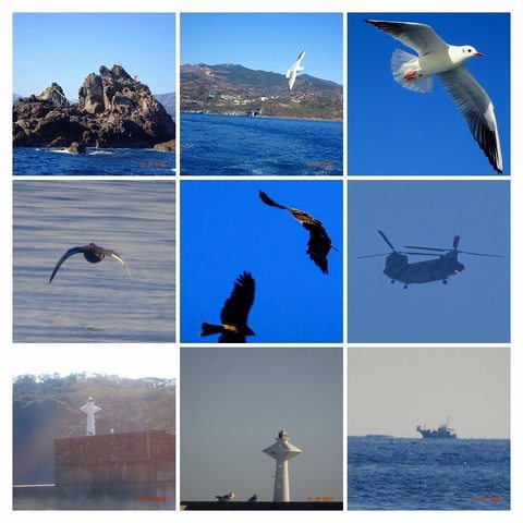 DSC09750-COLLAGE.jpg