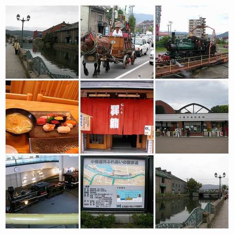 DSCN0234-COLLAGE.jpg