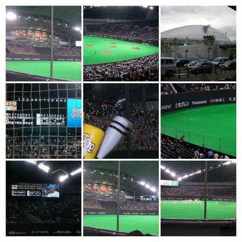 DSCN0293-COLLAGE.jpg