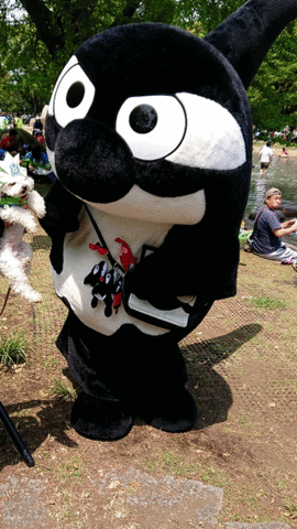 DSC_0020-ANIMATION.gif