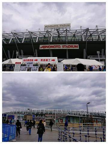DSC_0064-COLLAGE.jpg
