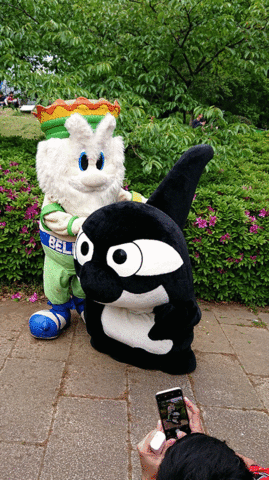 DSC_0066-ANIMATION.gif