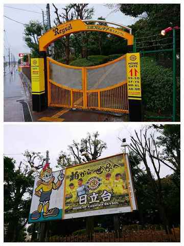 DSC_0112-COLLAGE.jpg