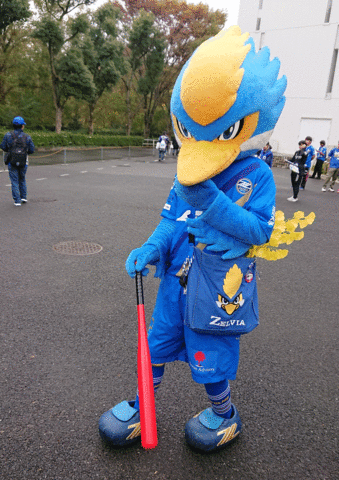 DSC_0175-ANIMATION.gif