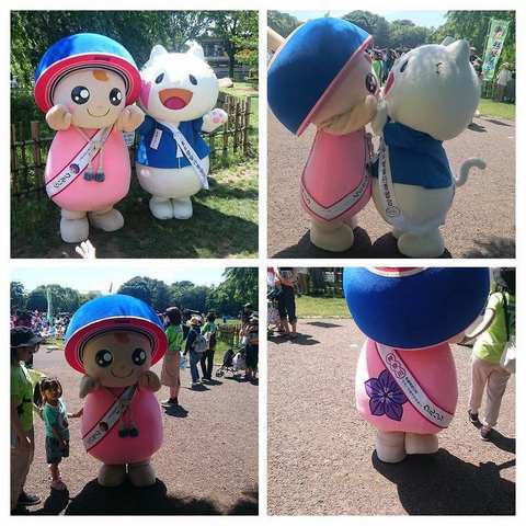DSC_0273-COLLAGE.jpg