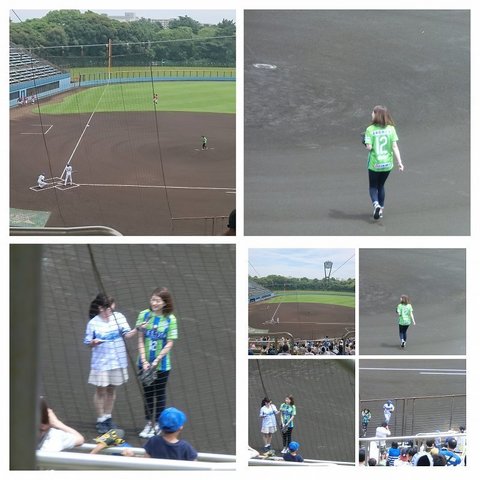 DSC_0950-COLLAGE.jpg