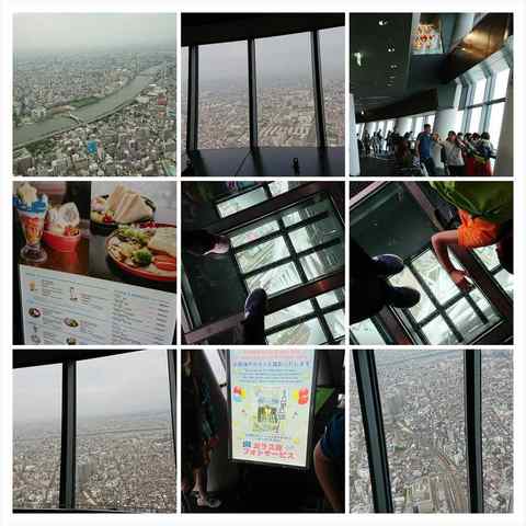 DSC_1383-COLLAGE_R.jpg