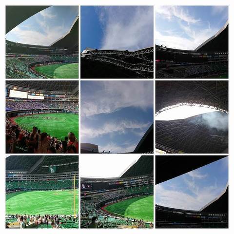 DSC_1643-COLLAGE.jpg