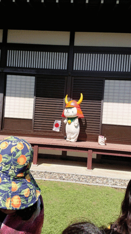 DSC_3134-ANIMATION.gif