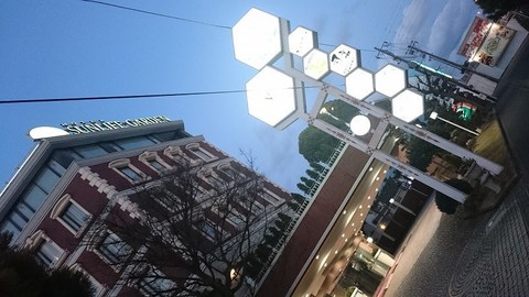 DSC_7205.jpg