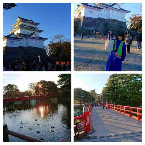 DSC_8037-COLLAGE.jpg