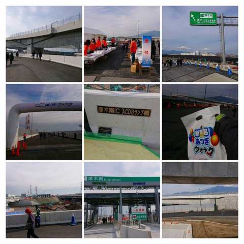DSC_8342-COLLAGE.jpg