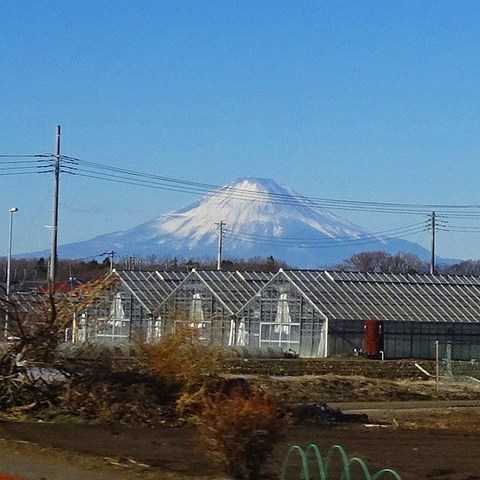 えのしま61号車窓から富士山.jpg