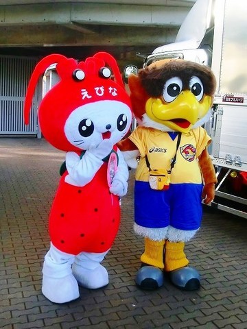 えび〜にゃとベガッタさん.jpg
