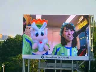 かすみんかわいい.jpg