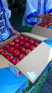 信州リンゴくれるってよ (2).jpg