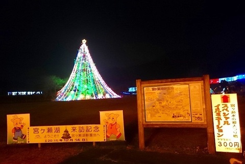 宮ヶ瀬クリスマスイルミネーション (113).jpg