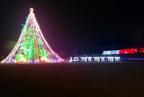 宮ヶ瀬クリスマスイルミネーション (115).jpg