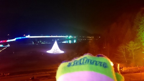 宮ヶ瀬クリスマスイルミネーション (136).jpg