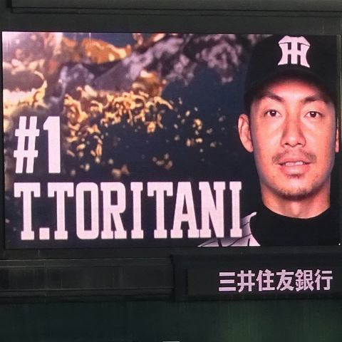 鳥谷2.jpg