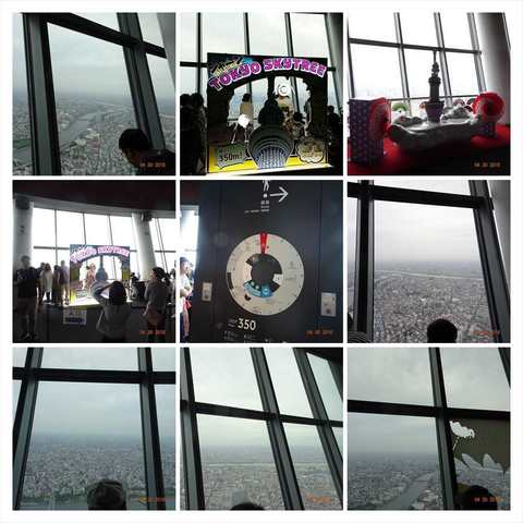 Fotor_152508513383430-COLLAGE_R.jpg