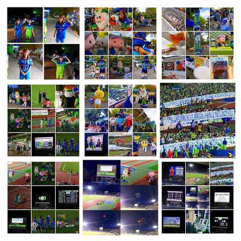 IMG_-378jbh-COLLAGE-COLLAGE.jpg