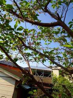 IMG_20150423_080716.jpg