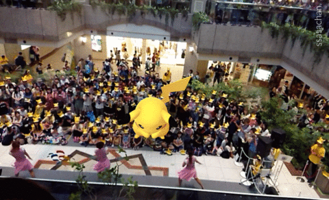 IMG_2017-08-15-16261532-ANIMATION.gif