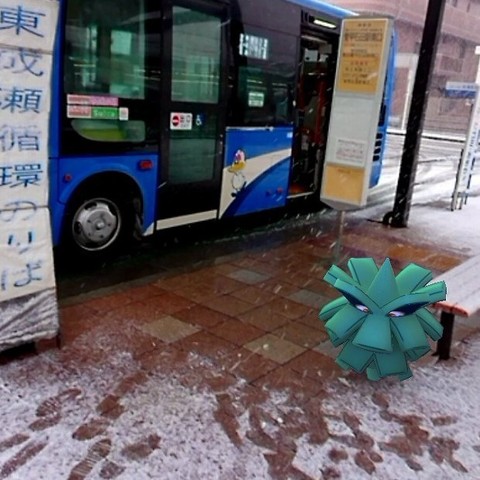 IMG_2018-01-22-雪のクヌギヌマ.jpg
