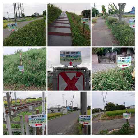 IMG_2018-08-16-17304342-COLLAGE.jpg