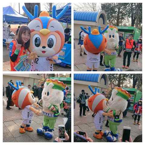 IMG_20180224_143609_708-COLLAGE.jpg
