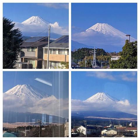 IMG_20200120_131119-COLLAGE.jpg