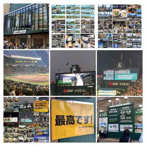 IMG_20231019_102813_412-COLLAGE-COLLAGE-COLLAGE.jpg