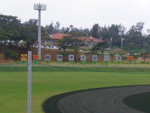 P2128191.jpg