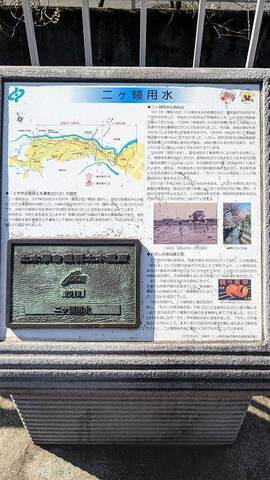 PXL_20230304_014351332.jpg