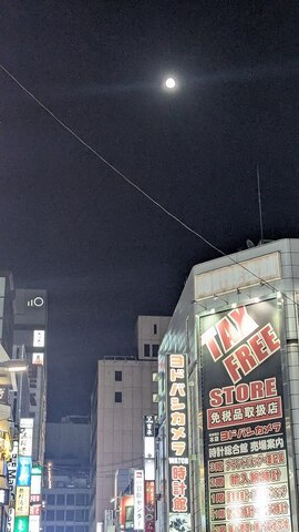 PXL_20250212_110202495.RAW-01.COVER.jpg