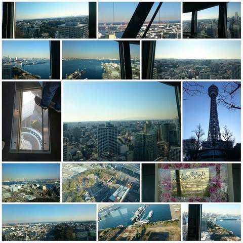 PhotoGrid_1485410585544.jpg