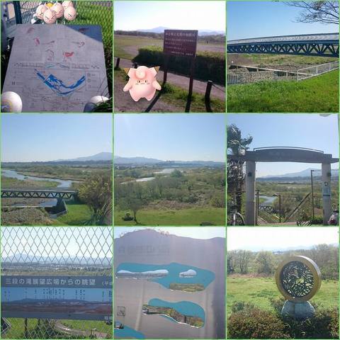 PhotoGrid_1492596304865.jpg