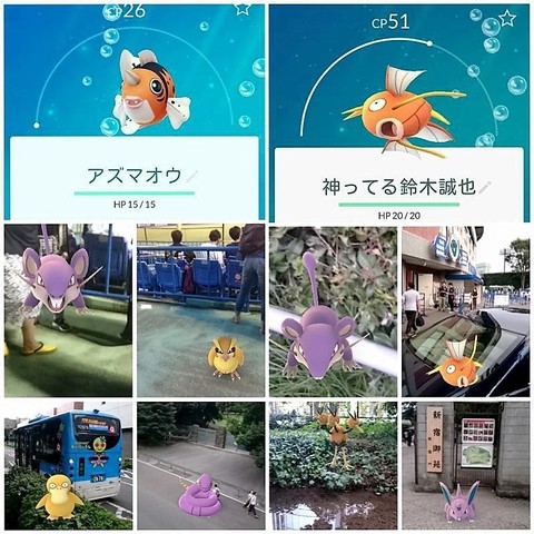 PhotoGrid_20160911_ポケ活.jpg