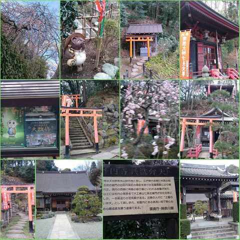 PhotoGrid_20170211_妙圓寺 (1).jpg