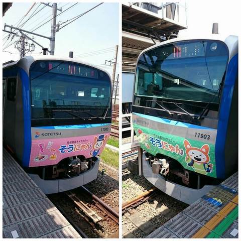 PhotoGrid_そうにゃんトレイン (1).jpg