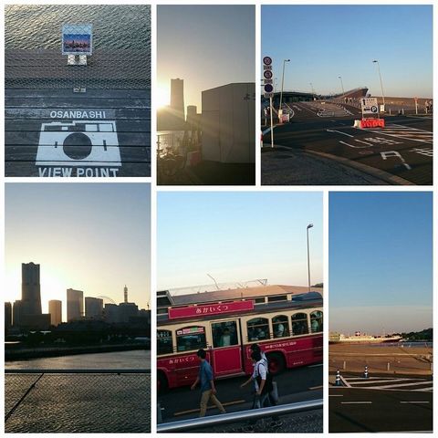PhotoGrid_大さん橋_ (1).jpg