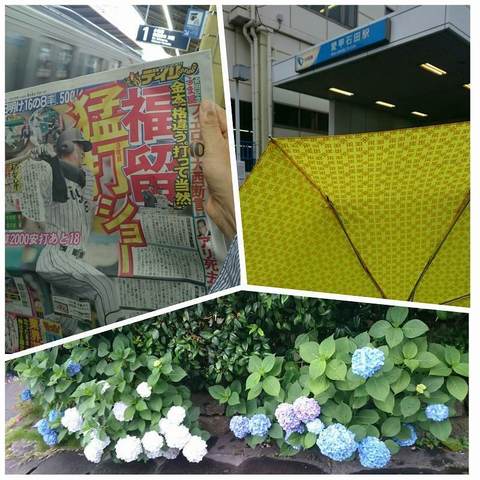 PhotoGrid_家から愛甲石田駅まで.jpg